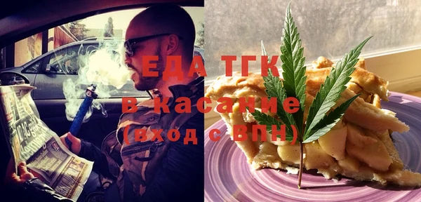 гашик Алексин