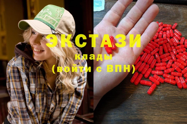 гашик Алексин