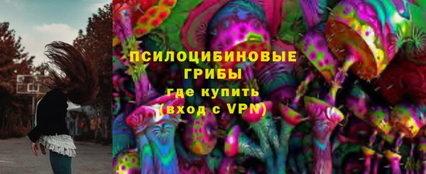 ПСИЛОЦИБИНОВЫЕ ГРИБЫ Алзамай