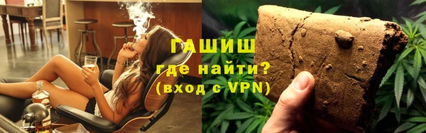 гашик Алексин