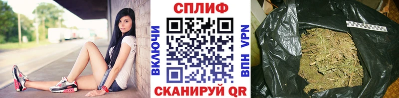 Конопля индика  Трёхгорный 
